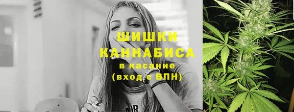 ПСИЛОЦИБИНОВЫЕ ГРИБЫ Инсар