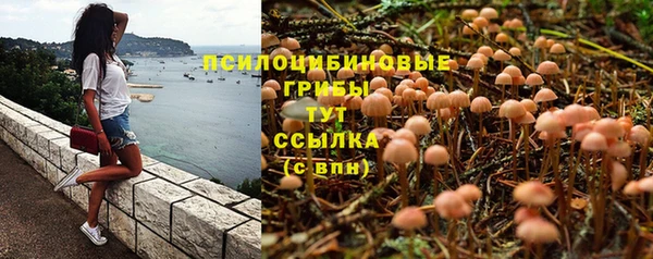 ПСИЛОЦИБИНОВЫЕ ГРИБЫ Инсар