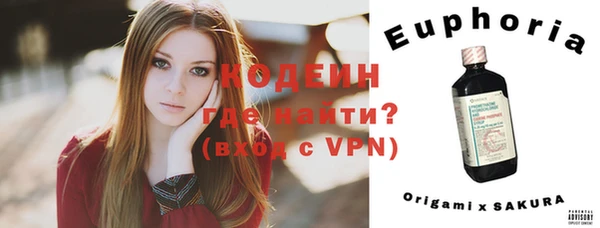 ПСИЛОЦИБИНОВЫЕ ГРИБЫ Инсар