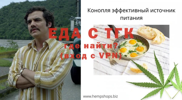 хмурый Каменногорск