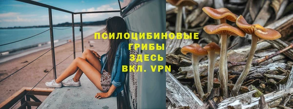 кристаллы Каменка