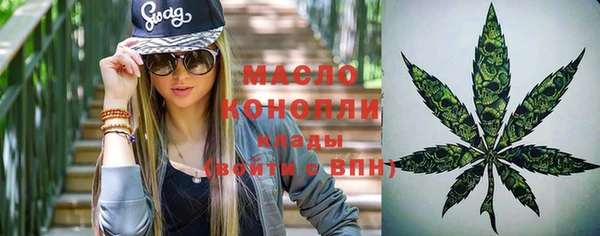 ПСИЛОЦИБИНОВЫЕ ГРИБЫ Инсар